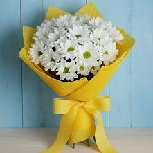 Букет цветов из:  Хризантемы в Неклюдово Нижегородская область