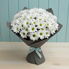 Букет цветов из:  Хризантемы в Неклюдово Нижегородская область