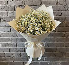 Букет цветов из:  Ромашки в Неклюдово Нижегородская область