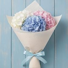 Букет цветов из:  Гортензия в Неклюдово Нижегородская область