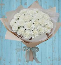 Букет цветов из:  Гвоздики в Неклюдово Нижегородская область