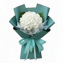 Букет цветов из:  Гортензия в Неклюдово Нижегородская область